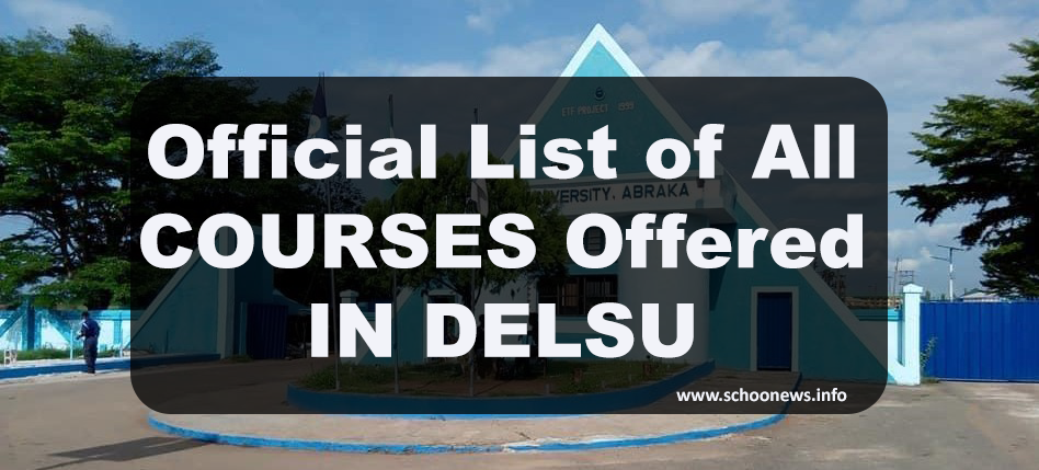 Courses offered in Delsu