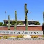 University of Arizona 2022 Global Wildcat Scholarship