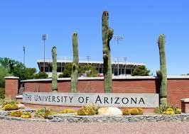 University of Arizona 2022 Global Wildcat Scholarship