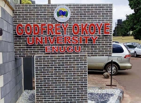 Godfrey-Okoye-University