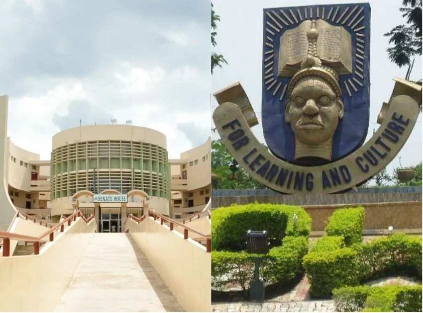 Largest Universities in Nigeria