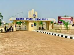 Borno State University  School Gate